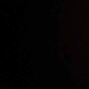 Meet your Posher, Mona